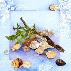 20 Servietten - 33 x 33 cm Shells & Algae,  Regionen - Strand / Meer - Muscheln,  Regionen - Strand / Meer -  Sonstige,  Sommer,  lunchservietten