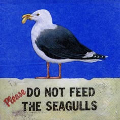 20 Servietten - 33 x 33 cm Please do not feed the Seagulls,  Tiere - Vögel,  Sonstiges - Schriften,  Regionen - Strand / Meer,  Sommer,  lunchservietten,  Möwen