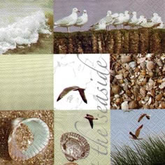 20 Servietten - 33 x 33 cm The Seaside,  Regionen - Strand / Meer -  Sonstige,  Regionen - Strand / Meer - Muscheln,  Tiere - Vögel,  Everyday,  lunchservietten,  Möwen