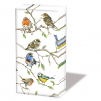 Handkerchiefs - Birds Meeting