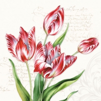 餐巾25x25厘米 - Classic Tulips 