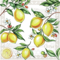 餐巾25x25厘米 - Citrus 