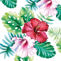 餐巾25x25厘米 - Hibiscus Floral White 