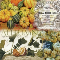 Serviettes 25x25 cm - Autumn Pumpkins 