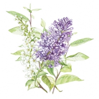 Салфетки 25х25 см - Lilac White 