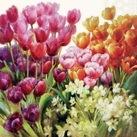 Салфетки 25х25 см - Tulips 