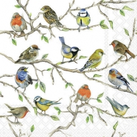 餐巾25x25厘米 - Birds Meeting 