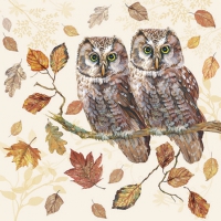 Napkins 25x25 cm - Owl Couple 