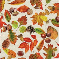 Servilletas 25x25 cm - Autumn festival 