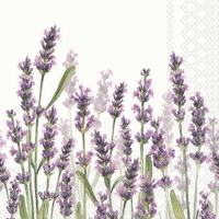 Serviettes 25x25 cm - Lavender shades white 