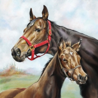 Napkins 25x25 cm - Horse Love 