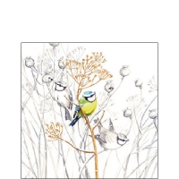 餐巾25x25厘米 - Sweet little bird 