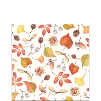 Napkins 25x25 cm - Autumn Details 