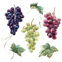 Serviettes 25x25 cm - Wine Grapes 