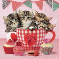 Serviettes 25x25 cm - Cats in tea cups 