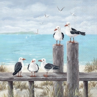 Servietten 25x25 cm - Seagulls on the dock 