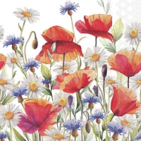 Tovaglioli 25x25 cm - Poppies and cornflowers 