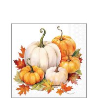 Serwetki 25x25 cm - Pumpkin season