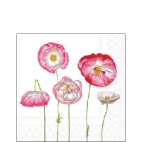 Servilletas 25x25 cm - Pale poppies 