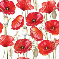Napkins 25x25 cm - Poppy all over white