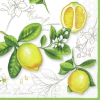 Serviettes 33x33 cm - Citrus Limonum 