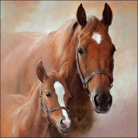 Servilletas 33x33 cm - Horse with foal 