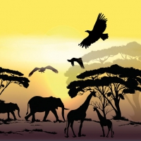 Serviettes 33x33 cm - Africa Safari 