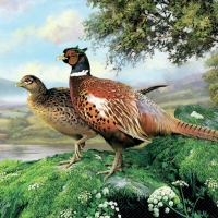 Servilletas 33x33 cm - Pheasant 