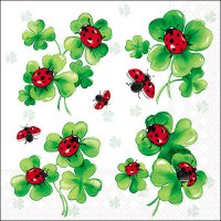 餐巾33x33厘米 - Lots of luck 