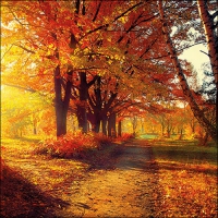Napkins 33x33 cm - Autumn Park 