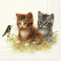 餐巾33x33厘米 - Kitten Friend 