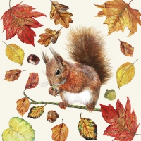 Serviettes 33x33 cm - Eating Squirrel 