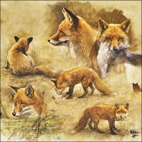 Napkins 33x33 cm - Portraits Of Foxes 