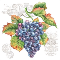 Serwetki 33x33 cm - Grape Vine 
