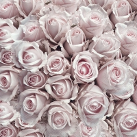Servietten 33x33 cm - Pastel Roses 