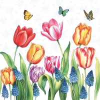 Servilletas 33x33 cm - Tulips & Muscari 