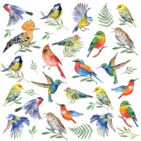 餐巾33x33厘米 - Birds Votes 