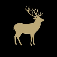 Serwetki 33x33 cm - Deer Contour Black/Gold 