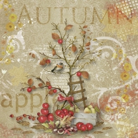Napkins 33x33 cm - Apple Harvest 