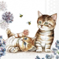 Serviettes 33x33 cm - Cats and Bees 