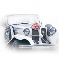 Салфетки 33x33 см - Wedding Car 