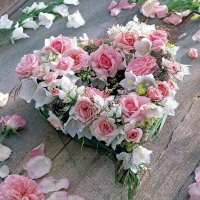 Serviettes 33x33 cm - Heart of Roses 