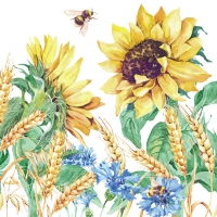 Servilletas 33x33 cm - Sunflower And Wheat White 
