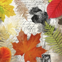 Napkins 33x33 cm - Leaves On Letter 