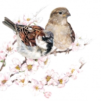 餐巾33x33厘米 - Sparrows Blossom 