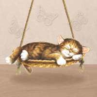 Serviettes 33x33 cm - Dreaming Cat 