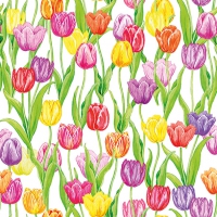 Serviettes 33x33 cm - Magic Tulips 