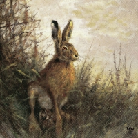 Servetten 33x33 cm - Portrait Of Hare 