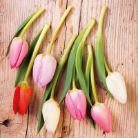 Servietten 33x33 cm - Tulips On Wood 