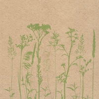 餐巾33x33厘米 - Recycled Herbs And Flowers Green 